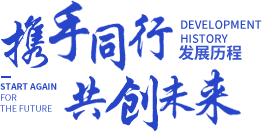发展历程